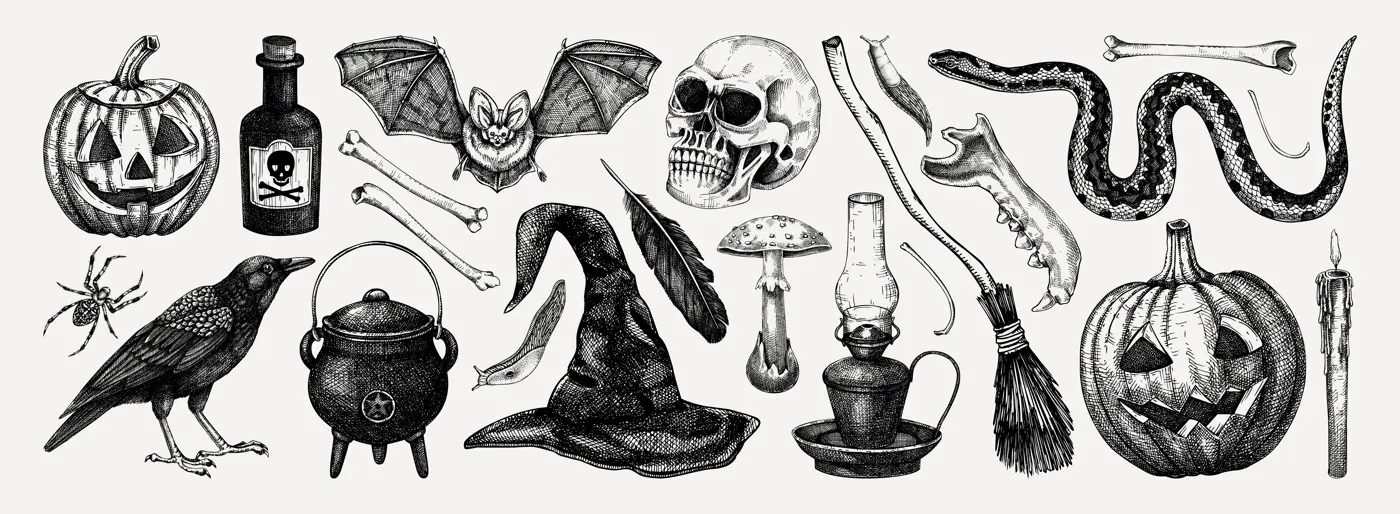 Halloween vector illustrations set. Skull, bones, potions, pumpkin head, poisonous mushrooms, snakes, raven sketches. Hand drawn witchcraft and magic element for Halloween design, print, decoration Illustration